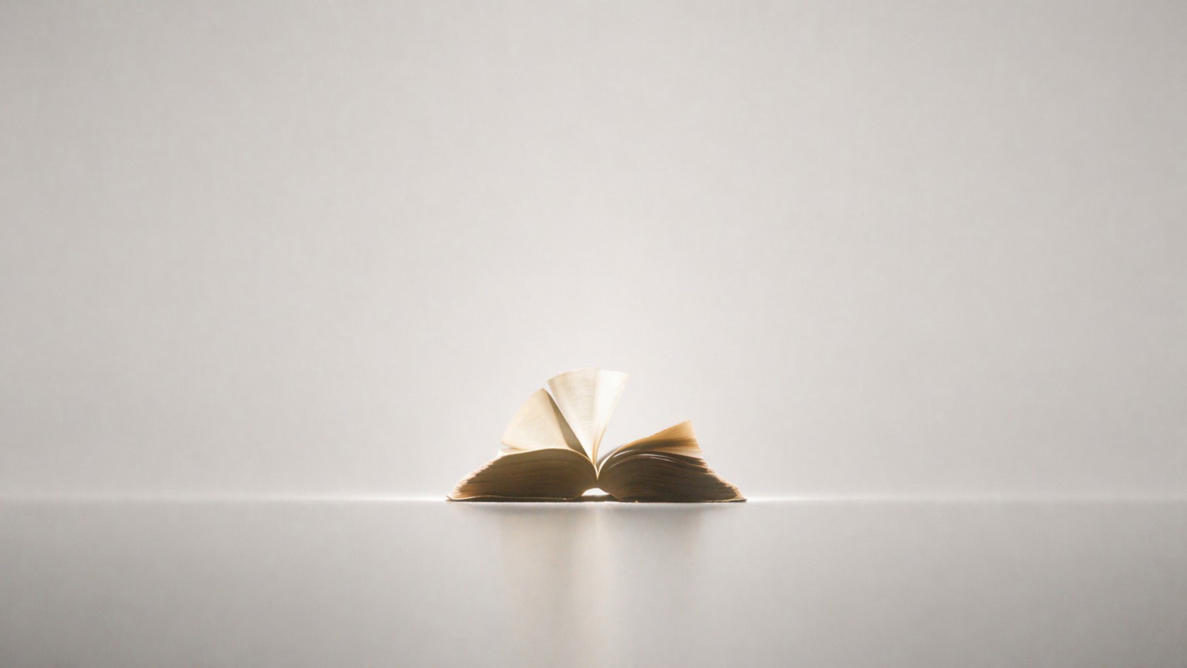 An open book resting on a softly lit surface